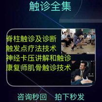 Musculoskeletal and Nerve Palpation Spine Diagnosis Technology and Nerve Caption Unarmed Rehabilitation Learning Video Course