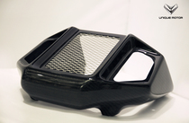 Magical Racing Carbon Fiber Radiator Guard DUCATI Ducati 696 796 795 Monster