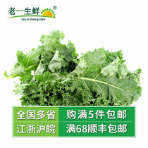 Fresh Kale leaf Dudan green leaf cabbage Kale 500g