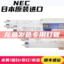 Japan NEC original imported T8 Arowana special lamp red dragon colorful fairy koi water plant lure color enhancement lamp