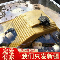 Turtle Sun Back Floating Island Water Turtle Sundae Turtle Sun Terrace Climbing Terrace Climbing and Pet Sinking Plastic Tortoise Terrace Shelter