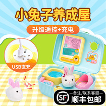 Will sing little rabbit fur suede toy girl children electric simulation over home happy little chicken to get into the house