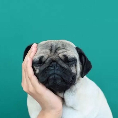 内衣是薄款的 穿上还可以,但是没有可以塞海绵的地方,纳闷了!买了两件另外一件穿的小,换这款店家好轴啊,只能换同款大小的,两个价位一样的,另外一款那就只好退了! 内衣是薄款的 穿上还可以,但是没有可以塞海绵的地方,纳闷了!买了两件另外一件穿的小,换这款店家好轴啊,只能换同款大小的,两个价位一样的,另外一款那就只好退了!