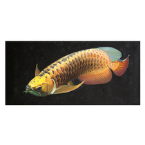 Su Zhengfeng Dragon Fish Series realistic boutique hand-painted oil painting