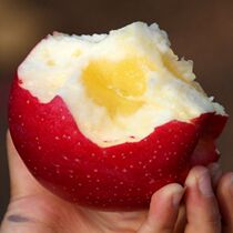 Fresh apple fruit Qinguan powder noodles Shaanxi 5 catties Whole Boxes Eat the Big Apple