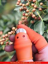 Ma pepper nail cover to remove the skin cut vegetables finger peeling garlic fruit tree picking thumb knife farming tools