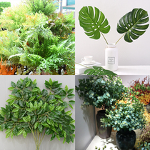 Simulation eucalyptus olive leaf indoor green plant wedding flower arrangement decoration photography background props Nordic style green leaves