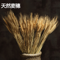 Natural wheat ear dried flower bouquet opening barley cotton ins Wind home living room bedroom office decoration ornaments