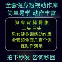 Gymnasium Action Teaching Course Training Basic Action Library Exercise Course Introduction Intermediate Video Course Demonstration