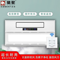 Camel Kitchen Cool Bully Integrated Ceiling Cold Blower Air Conditioning Type Remote Control Cold Barter Lighting Ventilation Two-in-one Electric Fan