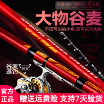 Double Treasure Front Beating Rod Barn Wheat Fishing Rod Fishing Rod Positioning Fishing Rod 19 Tune Ultralight Tease Long Festival Brand Front Beating Pole