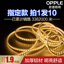 OP LED light strip living room ceiling decorative light strip colorful color change light strip outdoor waterproof RGB color line light