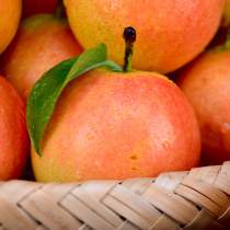 (There is a tiger skin phenomenon) Anshan Nanguo pear 5kg seasonal whole box of fresh fruit Nanguo pear wine pear