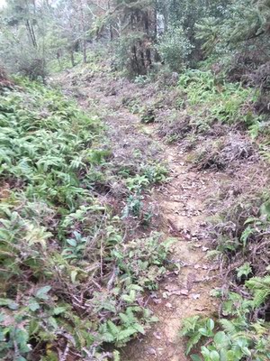 货物还算可以,样式不错,很合身,只是一些细节上还很一般,没有想像中那么好