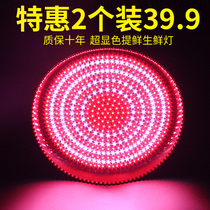 Large LED fresh light Pork light Deli special light Stewed vegetable stewed meat light Supermarket fruit and vegetable chandelier