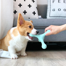 Dog fun not to pour glue puzzle toys resistant to biting teeth and teeth to accompany dog toy Kirky with large canine