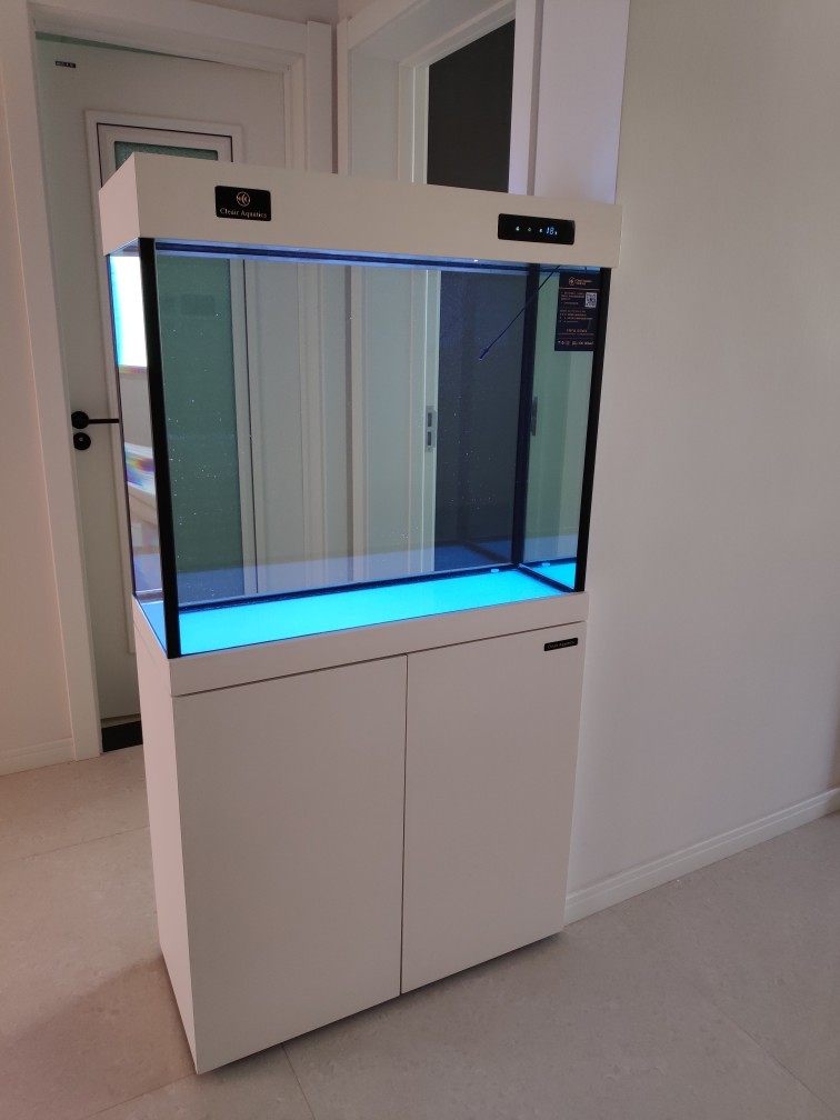 可丽爱鱼缸质量怎么样好不好吗?可丽爱水族箱算什么档次?