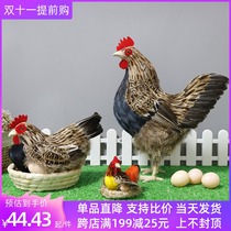 Simulation chicken model Rooster specimen hen ornament supermarket decoration props native chicken laying hens toy hen ornaments