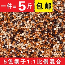 New Cargo Small And Medium Parrot Bird Food Feed Five-color Millet Parrot Mixed Nutritious Grain Barn 1 piece 5 kg