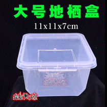 YC large ground habitat feeding box Spider feeding box with breathable hole Reptile scorpion mantis snail insect