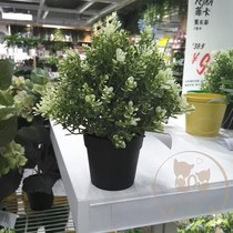 ikea IKEA domestic Fika artificial potted plants Thyme Oregano rosemary artificial potted plants