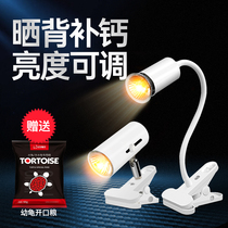 Sun back lamp Turtle lamp UVB full spectrum UVA heating calcium sterilization Sun lamp lamp holder bulb Climbing pet lizard insect