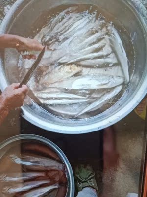 这是今天4.5米和5.7米钓的鱼,禅道的竿子还是一如既往的好用。有需要的话还是一毛的支持购买。 这是今天4.5米和5.7米钓的鱼,禅道的竿子还是一如既往的好用。有需要的话还是一毛的支持购买。