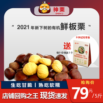 Hebei specialty 2021 fresh organic chestnut Yanshan Kuancheng 5kg Mid-Autumn Festival gift spot