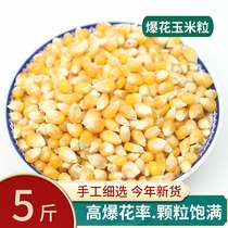 Popcorn corn particles 5 pounds Dish-shaped homemade butter popcorn microwave oven home burst corn particles with corn burst