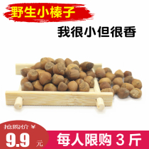 Northeast wild small hazelnuts Tieling Kaiyuan specialty mountain hazelnuts small grains very small fried 500g bulk new goods