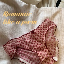 Love small underwear ~ Japanese retro girl sweet mesh breathable cute underwear briefs