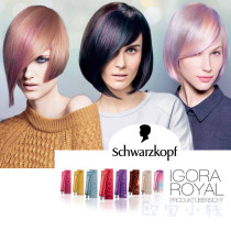 Spot New product German Schweucom Igora series dyeing hair dye thin vine star blue black sweet orange