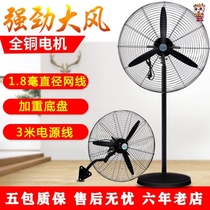 Vertical powerful electric fan high-power kitchen industrial-grade large wall hanging mosquitoes and flies stalls (