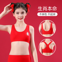 Girls' Zodiac Year Underwear Developmental Cotton Junior High School Students' Rabbit Year Vest 12 Year Old Girls' 13 Teenage Girls' Bra