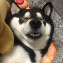 Shipping fee special link to kobe feed