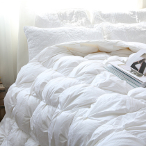 Self-retention is recommended to export Europe and the United States white goose down quilt autumn and winter warm quilt core thin and warm double bed down quilt