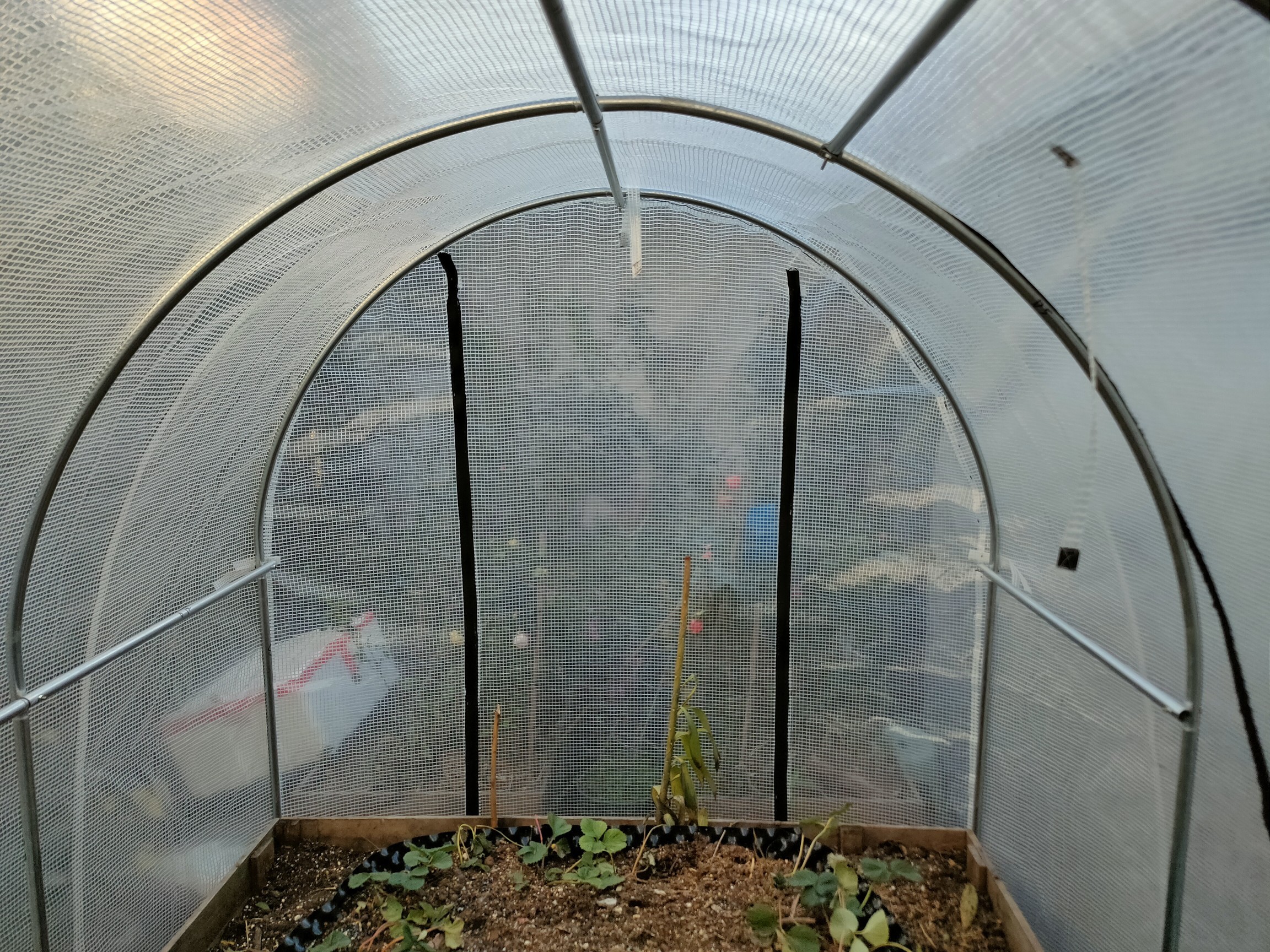 家用温室花房阳台冬天养花菜棚简易植物蔬菜种冬季花卉庭院保温棚