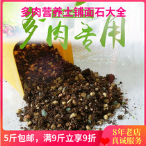 Succulent soil succulent plant special nutrient soil planting soil granular soil paving stone with good meat and flower mud economical equipment