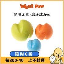 American West claw West Paw Molo Jive ice-resistant floating water dog toy