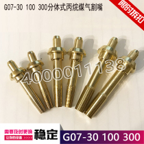 G07-30 100300 split propane gas cutting nozzle stainless steel plum liquid gas cutting nozzle through needle