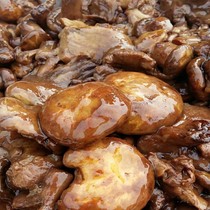 Longjiang origin northeast wild oil mushroom brine over 2020 is now picked wild poplar mushroom 2 pounds
