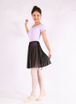Chen Ting Dance Supplies Net Cloth Teacher Skirt Waist Circumference Skirt Elastic Cotton Adult