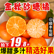 Golden Autumn Sugar Orange Fresh Fruit Sweet Orange 9 Jin Seasonal Citrus Emperor Ugly Orange Whole Box 5