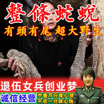 Chinese herbal medicines Whole snake skin snake shedding snake back long worm skin snake shell 9 6 yuan 1 large selection without sand