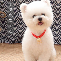 Japanese imperial guard cat collar golden lock dog collar pet long life lock pet jewelry cat amulet cat bow tie