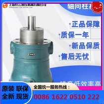 Shanghai Xuanyun 100MCY14-1B axial piston pump high pressure oil pump quantitative oil pump
