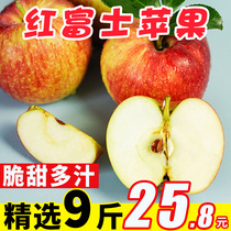 Pure fragrant fruit fresh red Fuji Apple 9kg fruit Fuji Apple seasonal red apple whole box Gala 5