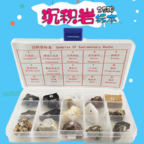 15 kinds of rock specimens for teaching Igneous sedimentary rock metamorphic rock Volcanic ejection magma Rock water diagenesis Three categories of rock teaching aids Teaching instruments