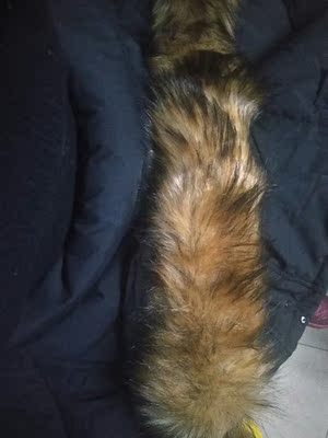 毛领根本就和图片上不一致，与帽子上的扣子位置也不一致，衣服穿上松松垮垮显胖。