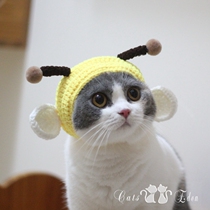 Pet cat little bee cross-dressing hat head head cover hand-woven cute kitten shaking sound photo props